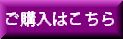 宮崎県産ブルーベリーの葉のエキスのサプリメント 購入ボタン