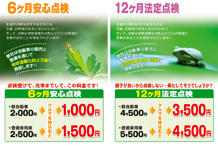 定期点検
