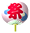 20100630-sea203.gif