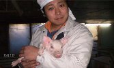 がんばろう宮崎